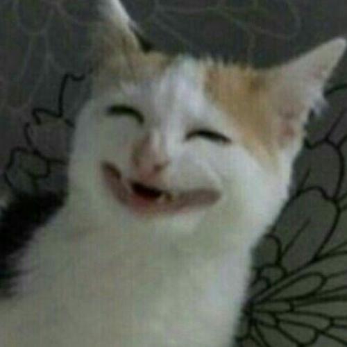 สมาชิกหมายเลข 5135899