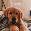 สมาชิกหมายเลข 5136099