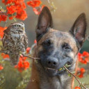 สมาชิกหมายเลข 4428923