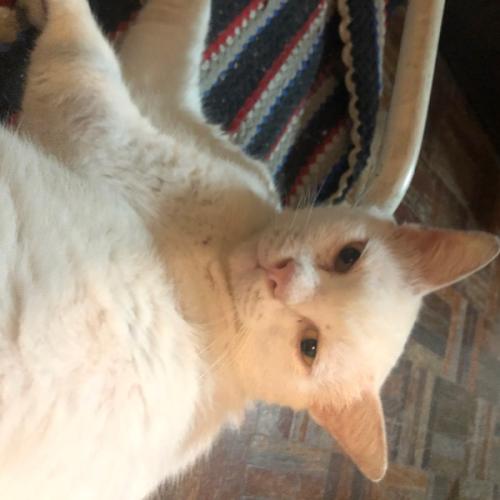 สมาชิกหมายเลข 6706086