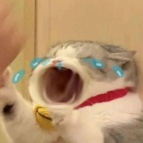 สมาชิกหมายเลข 7461532