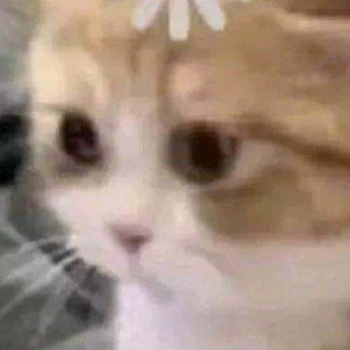 สมาชิกหมายเลข 2712198