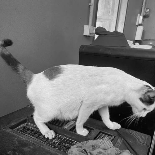 สมาชิกหมายเลข 5983622