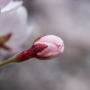 มุมกว้าง