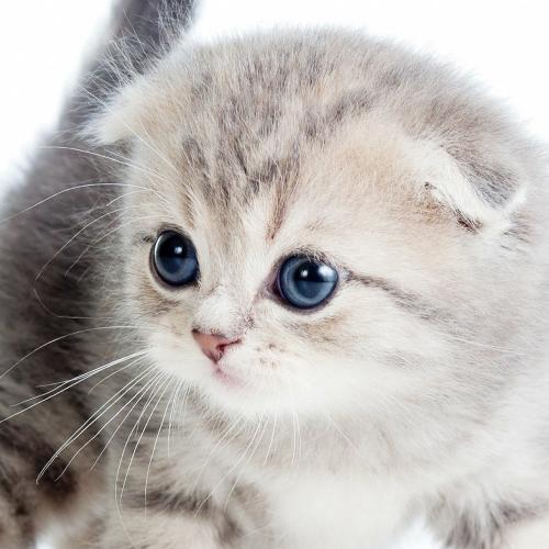 สมาชิกหมายเลข 4048061