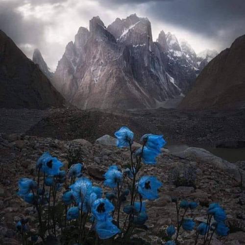 สมาชิกหมายเลข 6085147