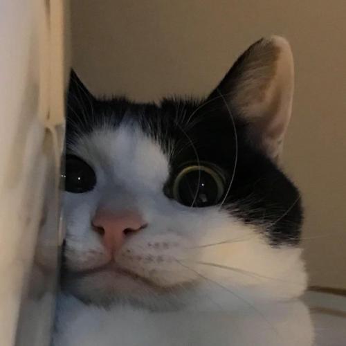 สมาชิกหมายเลข 6667343