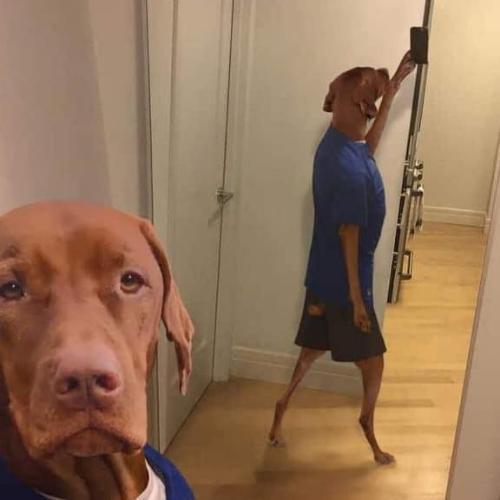 สมาชิกหมายเลข 5915412