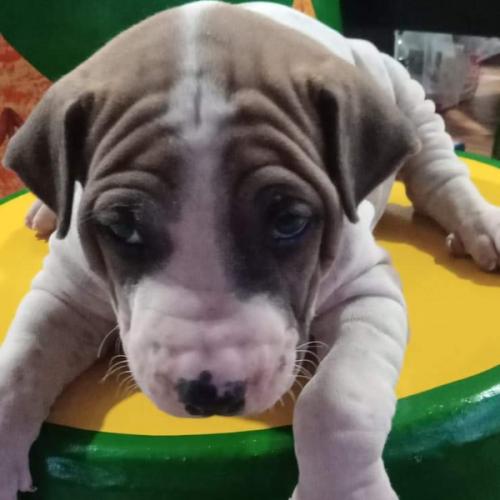 สมาชิกหมายเลข 6812536