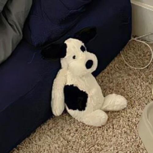 สมาชิกหมายเลข 7434908