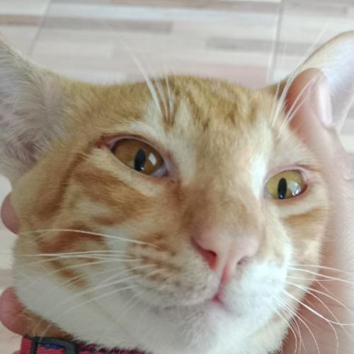 สมาชิกหมายเลข 6789231