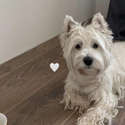 สมาชิกหมายเลข 8017482