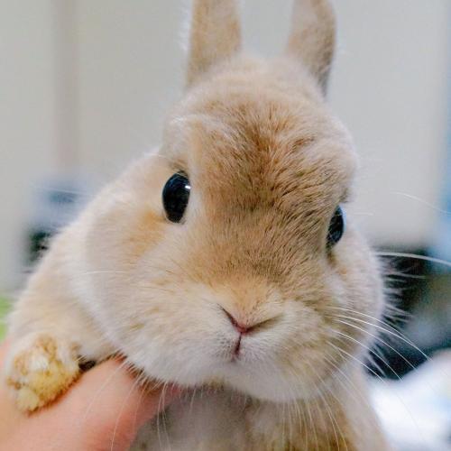 สมาชิกหมายเลข 2904777