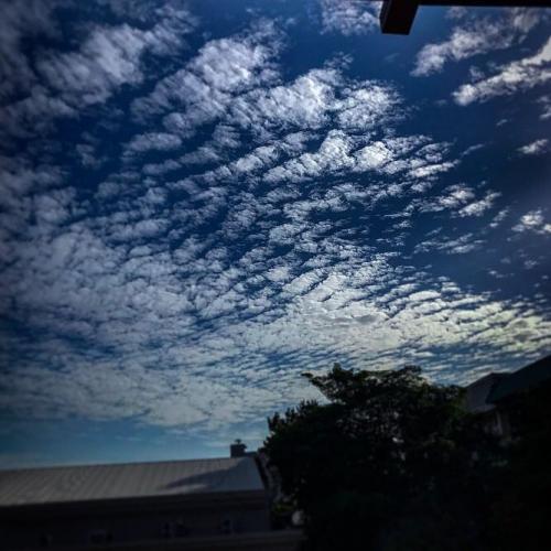 สมาชิกหมายเลข 3932736