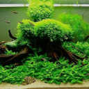 สมาชิกหมายเลข 3850013