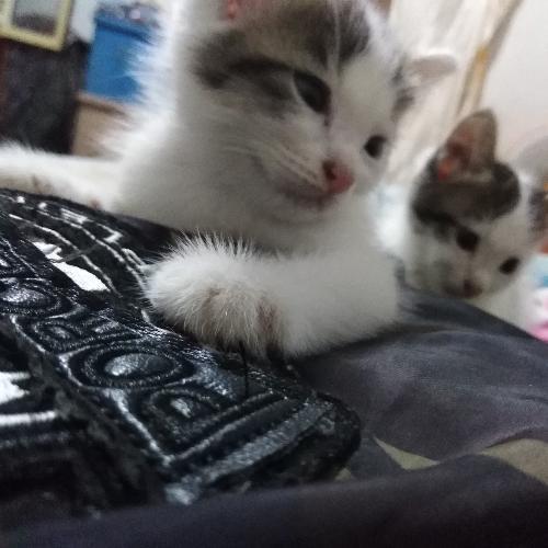 สมาชิกหมายเลข 3865517