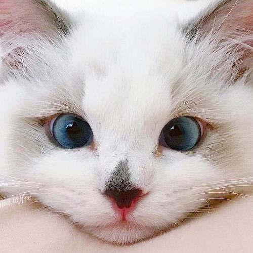 สมาชิกหมายเลข 4808920