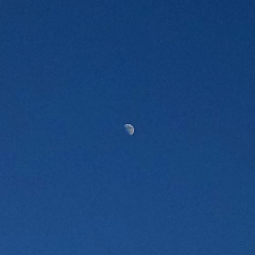 สมาชิกหมายเลข 5136920