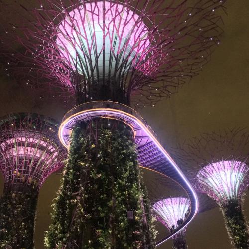 สมาชิกหมายเลข 1902130