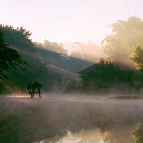 สมาชิกหมายเลข 4971202