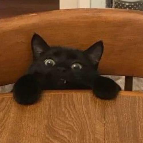 สมาชิกหมายเลข 1136493