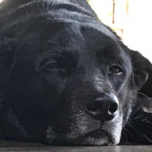 สมาชิกหมายเลข 6707277