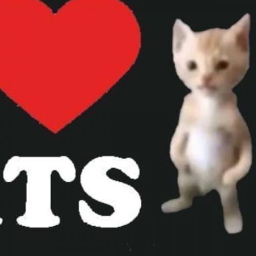 สมาชิกหมายเลข 7463535