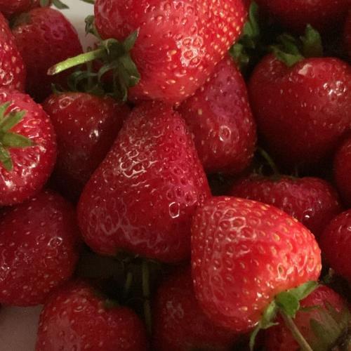 สมาชิกหมายเลข 7463878