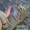 สมาชิกหมายเลข 2254595