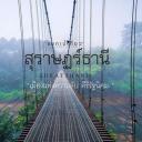 สมาชิกหมายเลข 3910201