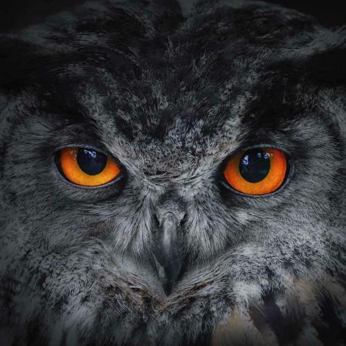 สมาชิกหมายเลข 5137443