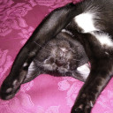 แพ้นนะจ๊ะ