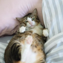 สมาชิกหมายเลข 5219796