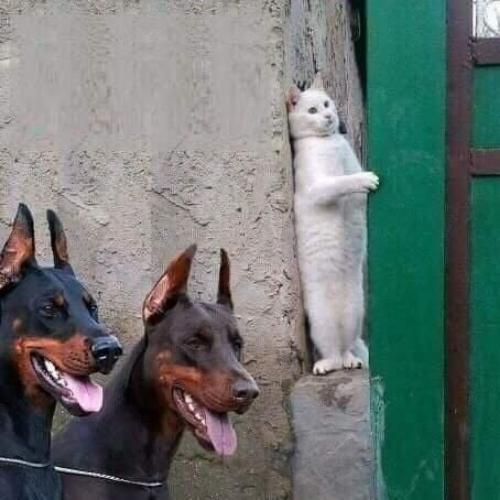 สมาชิกหมายเลข 5535079