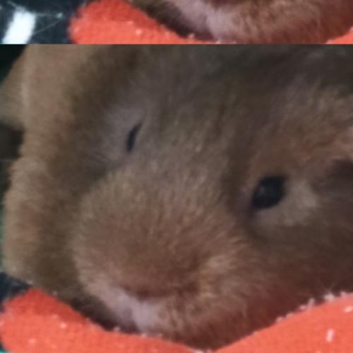 สมาชิกหมายเลข 1608853