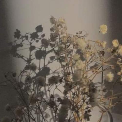 สมาชิกหมายเลข 5771430