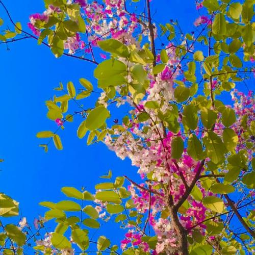 สมาชิกหมายเลข 7464415