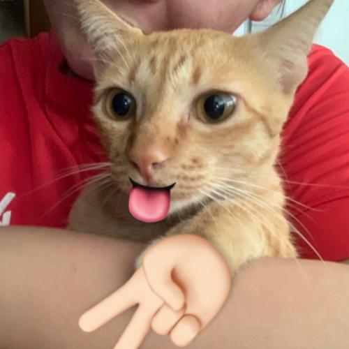 สมาชิกหมายเลข 8360913