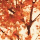 สมาชิกหมายเลข 3519748