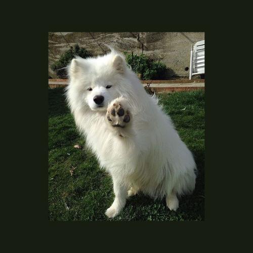 สมาชิกหมายเลข 5535428