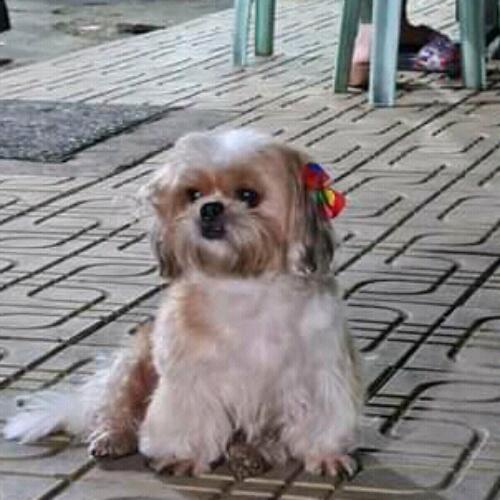 สมาชิกหมายเลข 6708440