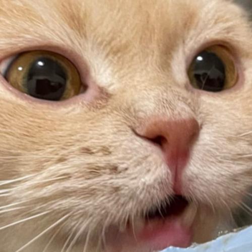 สมาชิกหมายเลข 7110590