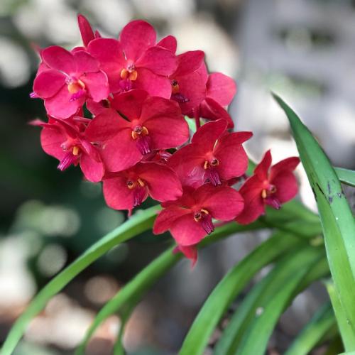 สมาชิกหมายเลข 3408542