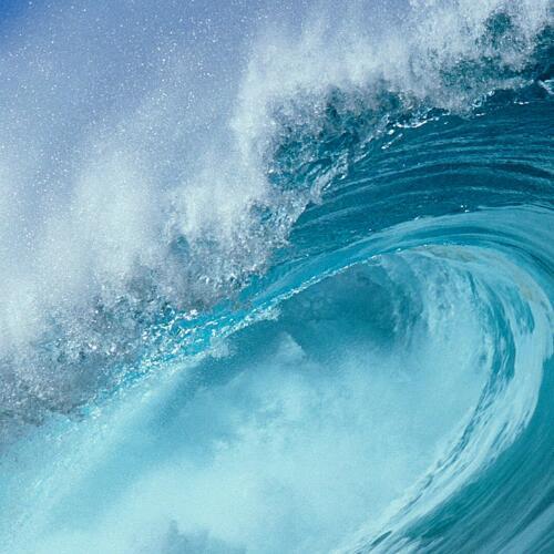 สมาชิกหมายเลข 4755509