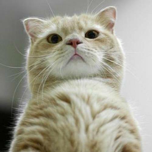 สมาชิกหมายเลข 4761885