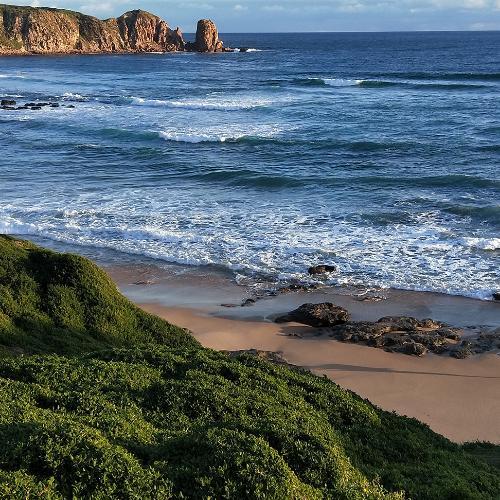 สมาชิกหมายเลข 5138220