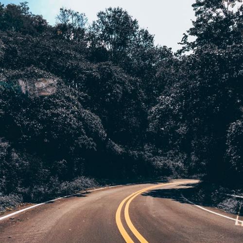 สมาชิกหมายเลข 4372872