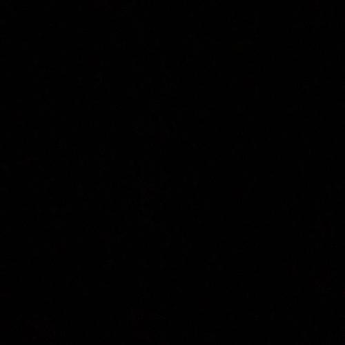 นายหมวกดำ