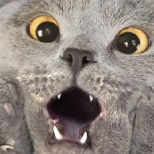 สมาชิกหมายเลข 4806434