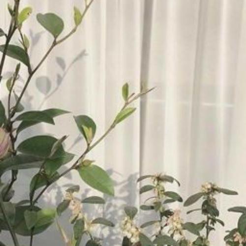 สมาชิกหมายเลข 6087568